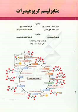 متابولیسم کربوهیدرات