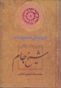 درویش ستیهنده (از میراث عرفانی شیخ جام)