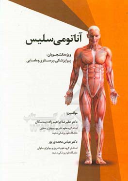 آناتومی سلیس