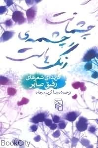 چشمانت چشمه ی رنگ هاست