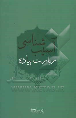 آسیب شناسی زیارت پیاده