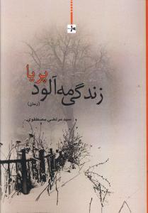 زندگی مه آلود پریا (رمان)