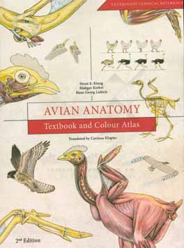 Avian anatomy: textbook and colour atlas