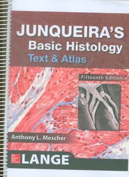 Junqueira's basic histology text & atlas