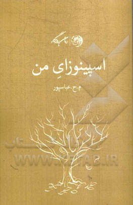 اسپینوزای من