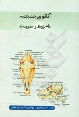 آناتومی جمجمه