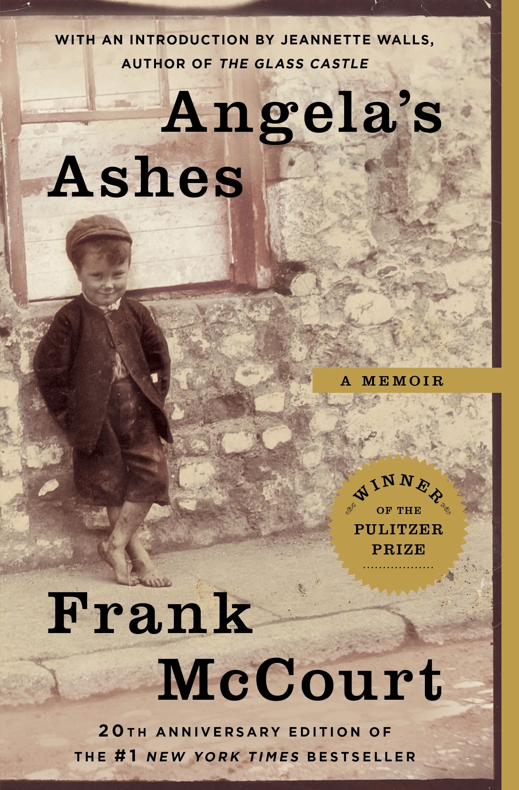 Angela's Ashes (Frank McCourt, #1)