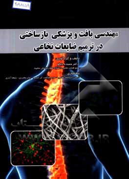 مهندسی بافت و پزشکی بازشناختی در ترمیم ضایعات نخاعی