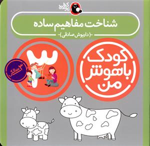شناخت مفاهیم ساده: 3 سالگی (36 تا 48 ماهگی)