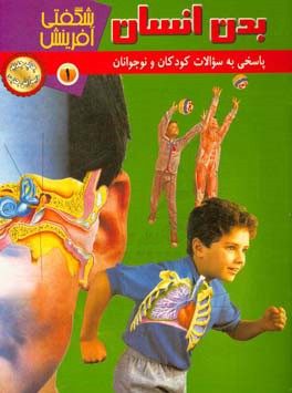 بدن انسان