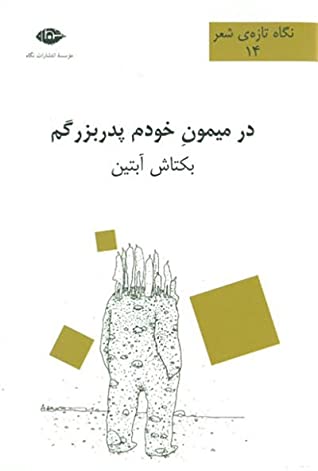 در میمون خودم پدربزرگم (مجموعه شعر)