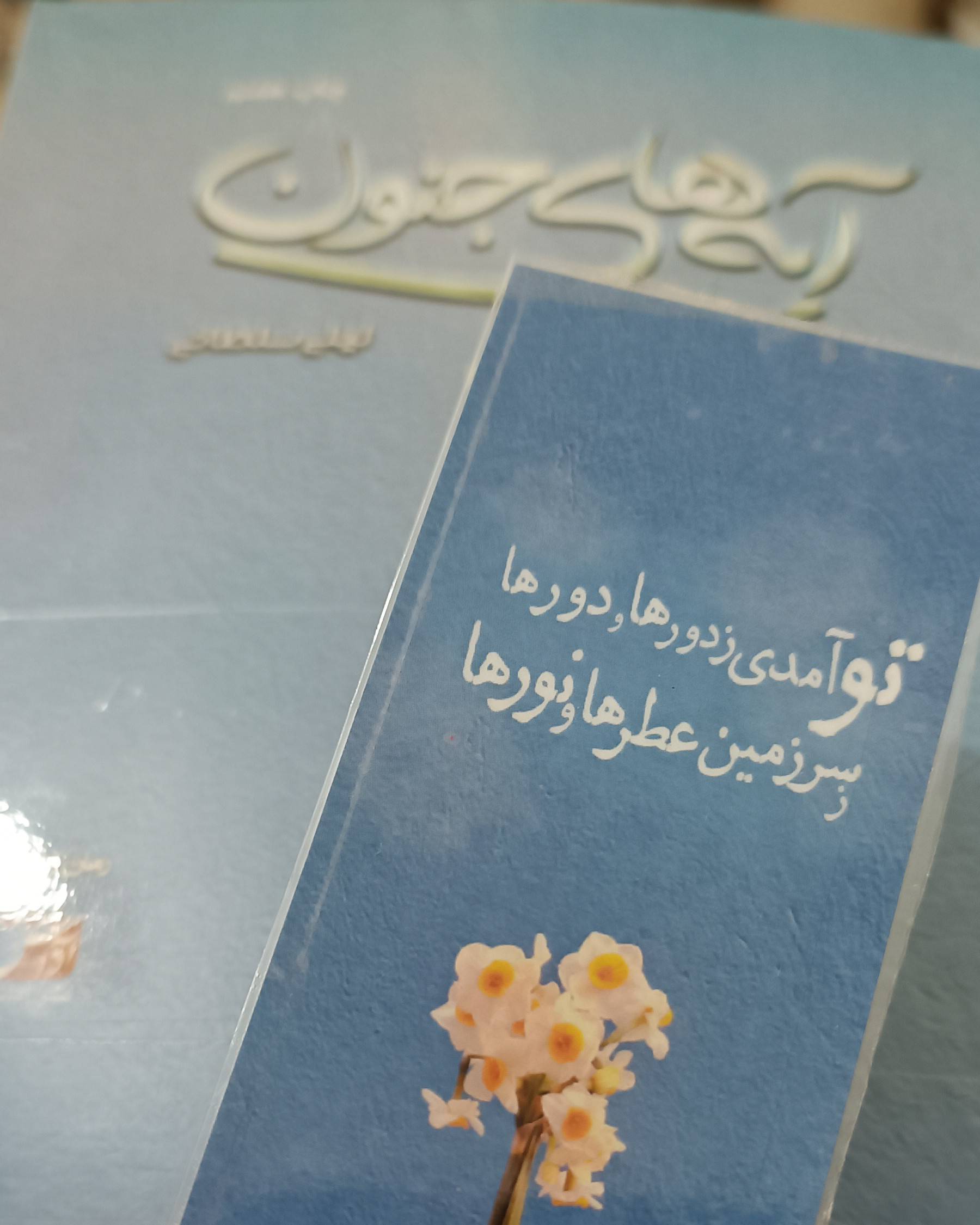 میگوید:چرا