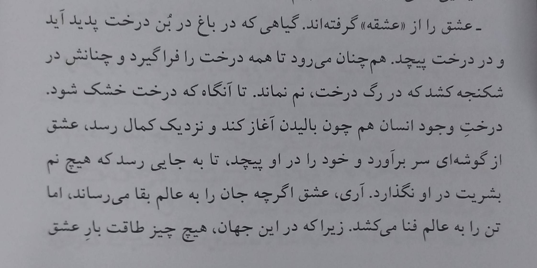 کمی درباره